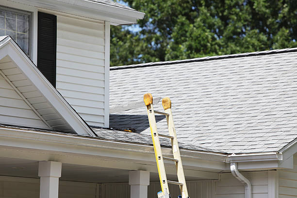 Affordable siding repair and maintenance services in Prospect, KY